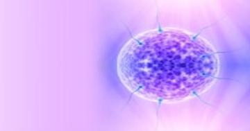 Myter og fakta om fertilitet